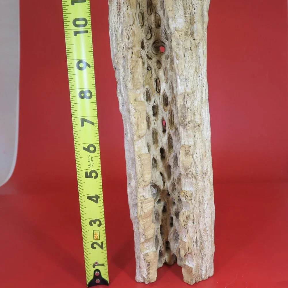 Cactus Wood Decoration for Aquarium Tank 1 pc